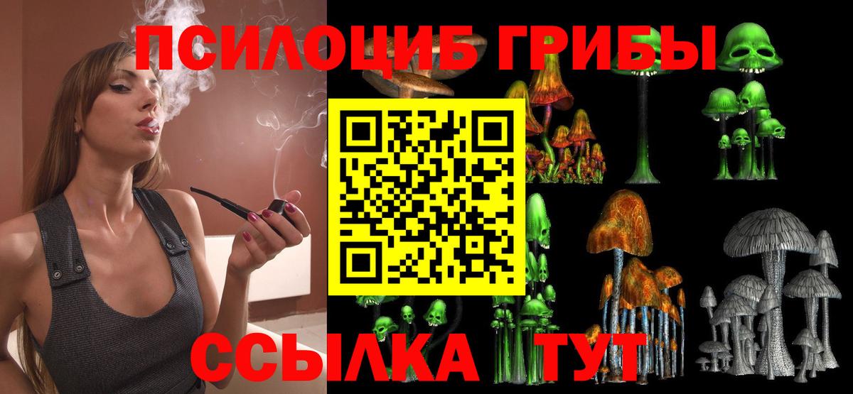 Саров  Галлюциногенные грибы Psilocybe  Вход с VPN  Псилоцибиновые грибы прущие грибы 